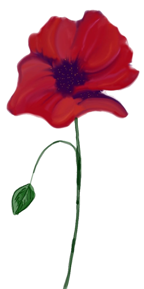 This Poppy is dedicated to the New Haven angels who have passed without our knowledge.'